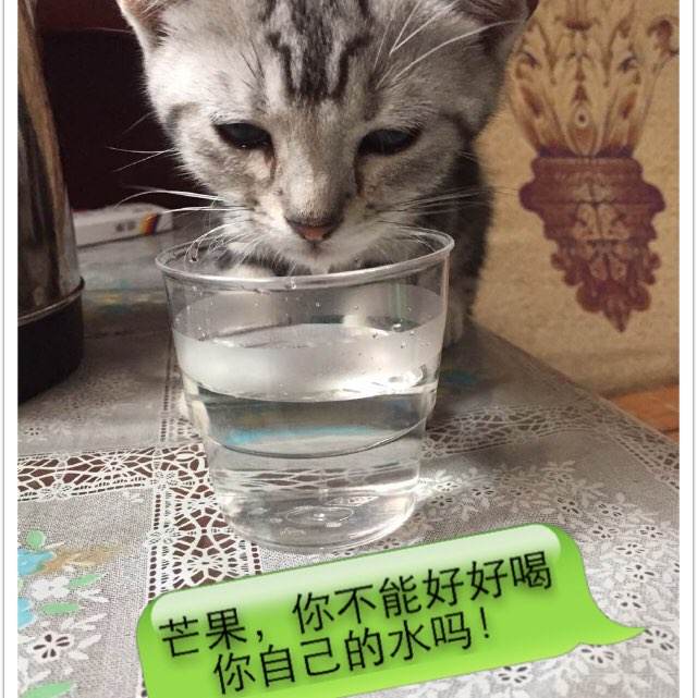 留学归国金融文凭证书